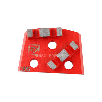 Doppio W segmenta il disco di Diamond Grinding per Lavina
